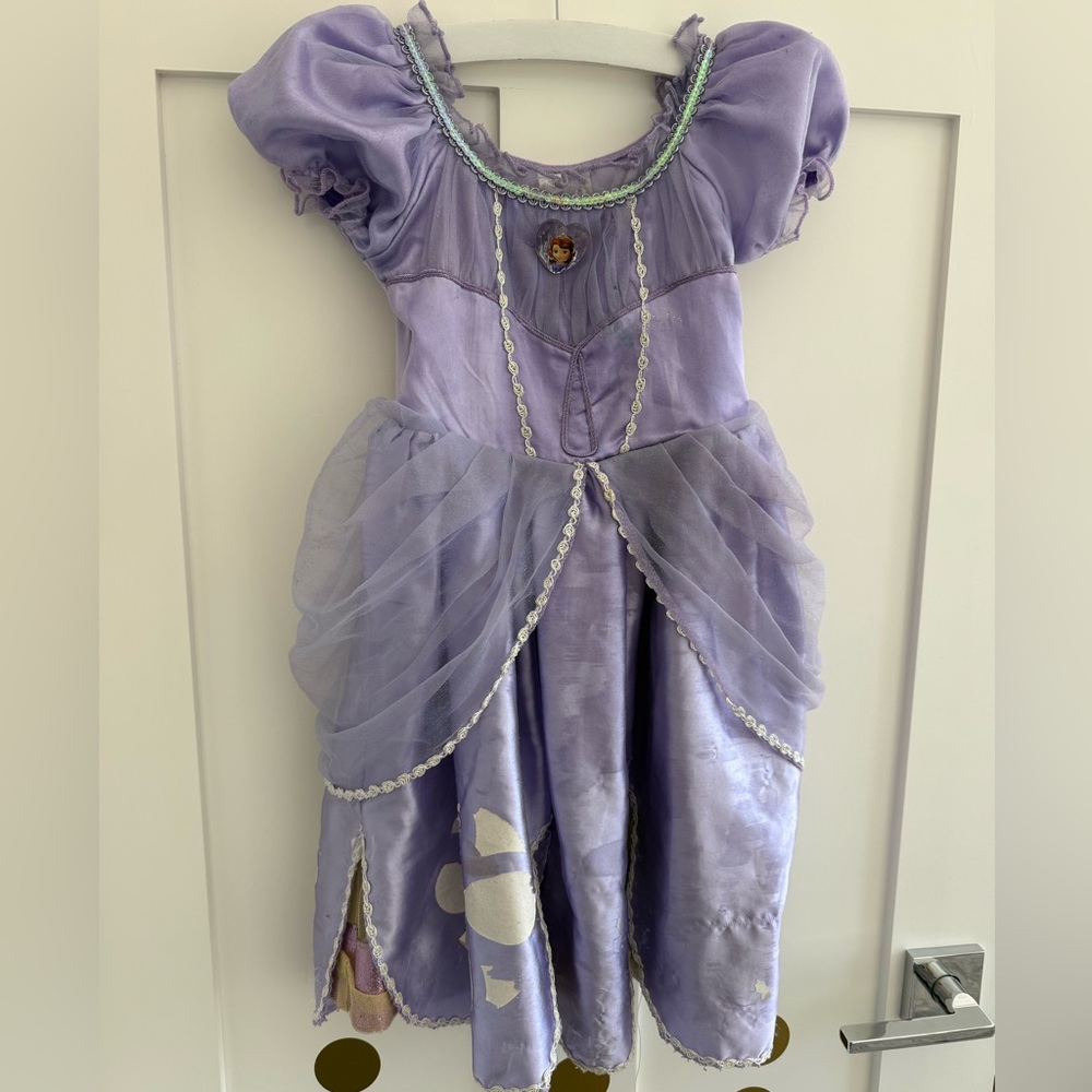 Purple Princess Sofia Costume